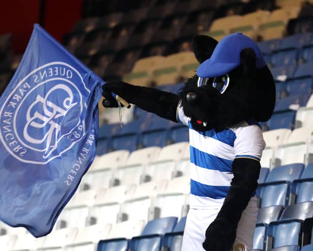 Jude the Cat during the FA Cup Fourth Round match between QPR and Sheffield Wednesday in January 2020 (Photo: James Chance/Getty Images)