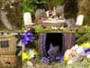 Mice living in adorable Hobbit-style hand-crafted model village become YouTube stars