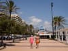 Spain travel warning: UK holidaymakers warned over 'vile' cockroaches in Costa del Sol locations including Malaga that have 'become resistant'