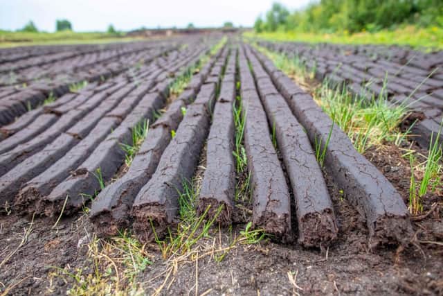 Called 'turf' in Ireland, dried peat has also long been burned as a fuel source (Photo: PAUL FAITH/AFP via Getty Images)