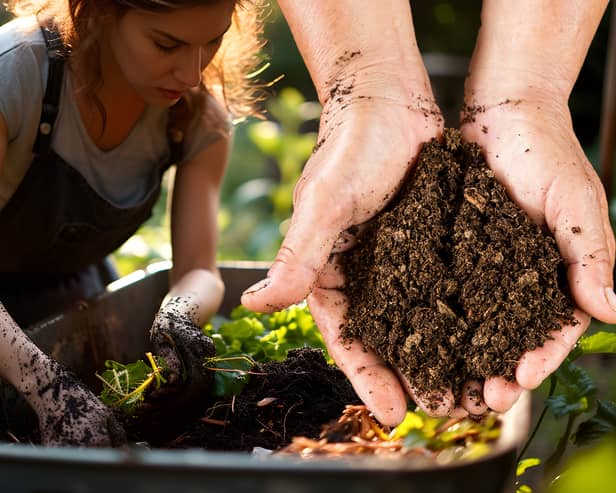 Nutrient-rich peat has long been used as an effective compost for gardeners (NationalWorld/Adobe Stock)