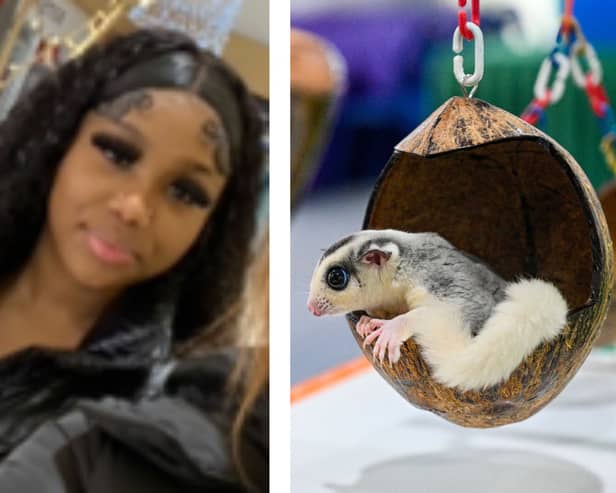Raya Dillon-Jackson was last seen in Croxton Kerrial, Leicestershire on Sunday, March 31 and was reported missing the following day. The teenager was carrying her pet sugar glider - a different sugar glider is pictured. Pictures: Leicestershire Police/Getty Images 