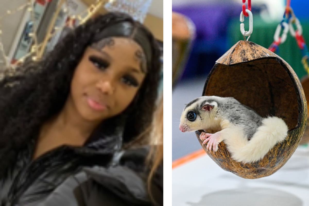 Girl, 15, goes missing with her pet sugar glider