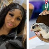 Raya Dillon-Jackson was last seen in Croxton Kerrial, Leicestershire on Sunday, March 31 and was reported missing the following day. The teenager was carrying her pet sugar glider - a different sugar glider is pictured. Pictures: Leicestershire Police/Getty Images 