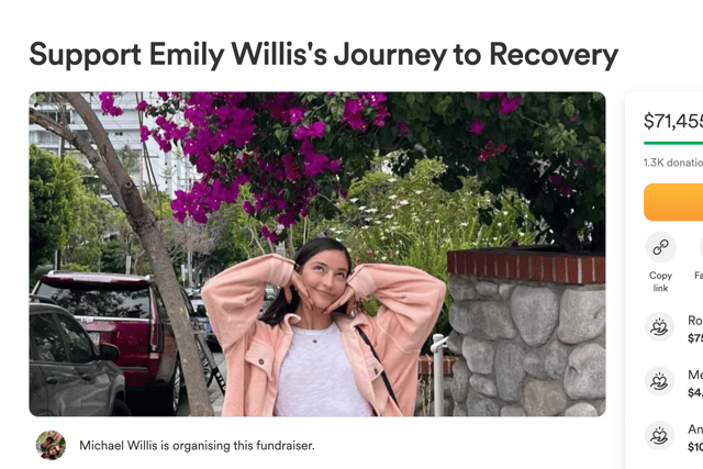 The GoFundMe campaign has so far amassed over $71,000 as an update from Willis brother, Michael, refutes claims her cardiac arrest stemmed from a drug overdose (Credit: GoFundMe)