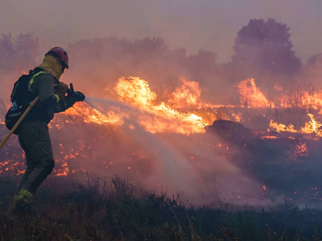 UK holidaymakers are issued a Spain travel warning as an expert has warned that the risk of wildfires in popular hotspots will be “higher than usual” this summer. (Photo: AFP via Getty Images)