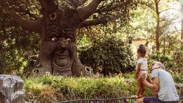 Holland's Efteling, an altogether less expensive family trip out