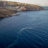 A woman’s dismembered body has been found floating in the sea in Tenerife with a plastic bag over her head. (Photo: AFP via Getty Images)