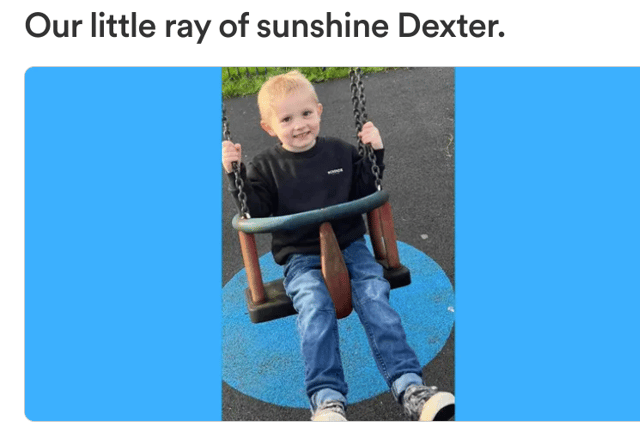 The fundraiser, set up by a family friend Casey Bowerman, described Dexter as a “beautiful little ray of sunshine who brightened up any room”. 