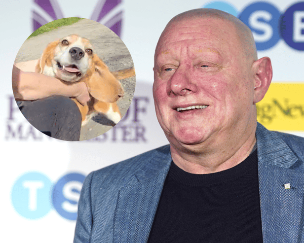 Malcolm (inset), the beloved pet beagle of Shaun Ryder has been reunited with his owner thanks to the work of charity Drone to Home (Credit: Getty/SWNS)