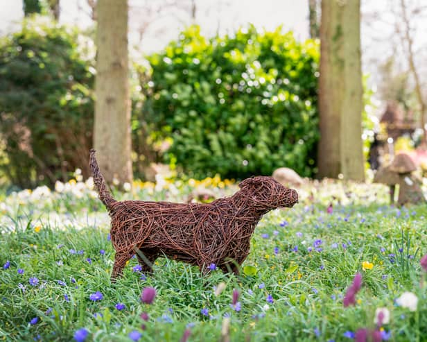 Willow sculptures of Queen Camilla's dogs Beth and Bluebell are to make an appearance at the Chelsea Flower Show this year (Photo: Little Bird photography/PA Wire)
