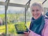 Carol Klein: Gardeners' World star diagnosed with breast cancer - age, symptoms and return to TV explained