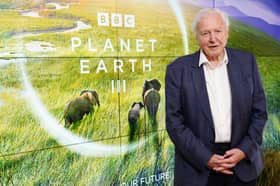Sir David Attenborough at the global launch of BBC Studio's Planet Earth III (Photo: Ian West/PA Wire)