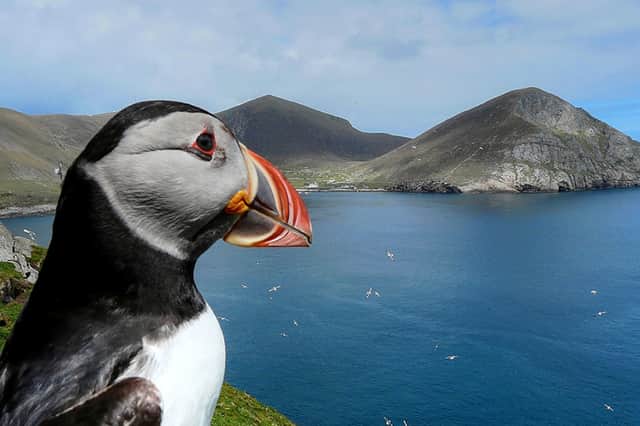 The St Kilda archipelago is home to what is thought to be the UK's biggest puffin colony (Photo: National Trust for Scotland/PA Wire)