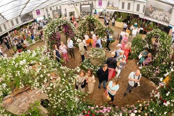 Visitors peruse the rose display at last year's Chelsea Flower Show. Picture: Leon Neal/Getty Images