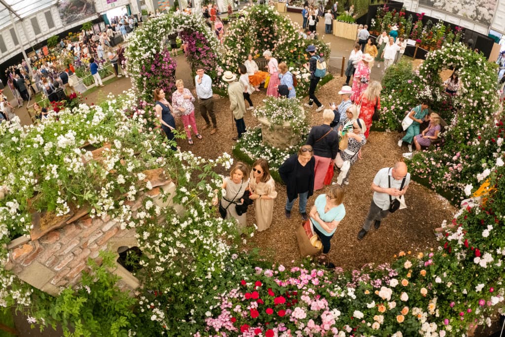 Everything you need to know about the Chelsea Flower Show