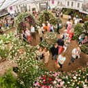 Visitors peruse the rose display at last year's Chelsea Flower Show. Picture: Leon Neal/Getty Images