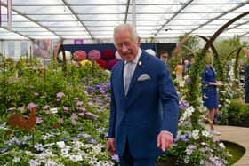 King Charles will be visiting the Chelsea Flower show this year, Buckingham Palace has confirmed (Photo: Arthur Edwards - WPA Pool/Getty Images)