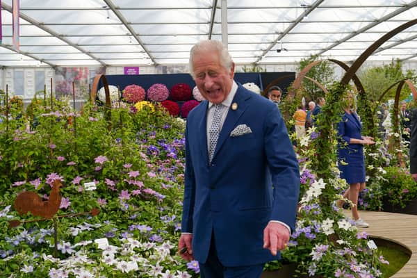 King Charles will be visiting the Chelsea Flower show this year, Buckingham Palace has confirmed (Photo: Arthur Edwards - WPA Pool/Getty Images)