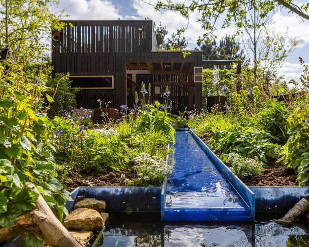 A wildlife-themed garden from last year's RHS Chelsea Flower show has been rehomed to RSPCA Stapeley Grange (Photo: RSPCA/Supplied) 