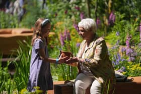 Dame Judi Dench was presented with a seedling from the Sycamore Gap tree at the Chelsea Flower Show (Photo: Yui Mok/PA Wire)