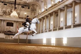 For the first time in eight years, the illustrious Spanish Riding School of Vienna are set to return to the United Kingdom later this year (Credit: Sophie Matchett)