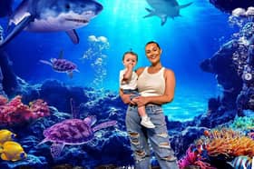 Shaughna Phillips with her one year-old-daughter Lucia during an expensive day out at Sea Life London Aquarium. Photo by Instagram/shaughnaphillips.