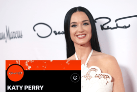 Has Katy Perry indicated the start of her "KP6 Era" after changing her social media profiles? (Credit: Getty/X)