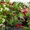 The Chelsea Flower Show not only celebrates the beauty and artistry of gardening but also highlights its profound health benefits. Picture: Jordan Pettitt/PA Wire