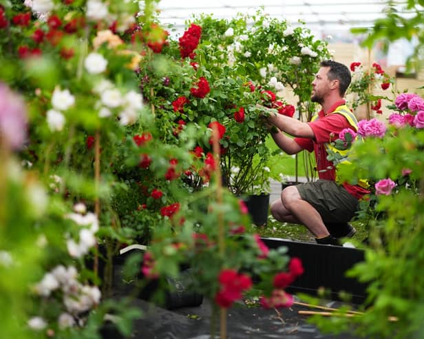 The Chelsea Flower Show not only celebrates the beauty and artistry of gardening but also highlights its profound health benefits. Picture: Jordan Pettitt/PA Wire