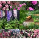 A few of my favourite displays at the Chelsea Flower Show 2024