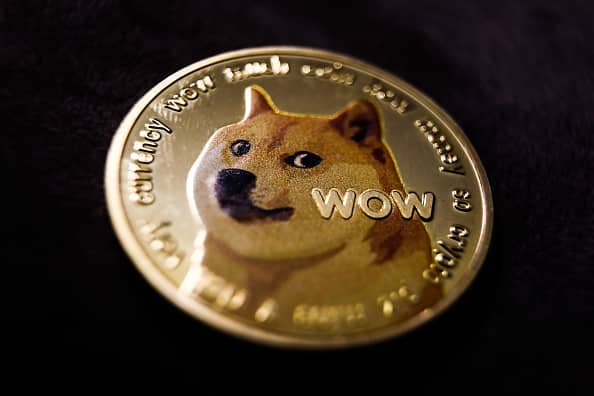 Kabosu, the dog that inspired 'doge' meme and face of cryptocurrency Dogecoin dies after 14 years of internet fame
