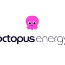 Octopus Energy’s app seems to be experiencing access issues for some users today with it “crashing”.  (Photo: Octopus Energy)