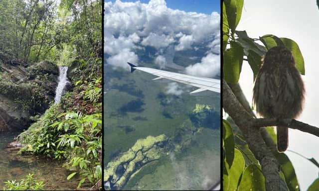 Biize 'I visited a nature-lover's paradise with unrivalled reefs, rainforests ...