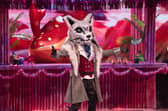 Wolf is in the final of The Masked Singer UK.