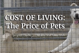 Price of Pets thumbnail image
