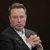Tesla's board members have reportedly started a search for someone to replace Elon Musk as CEO. (Photo: AFP via Getty Images)