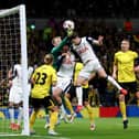 Mikey Moore impressed for Spurs under Ange Postecoglou.
