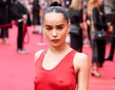 Actress Zoe Kravitz has admitted she ‘destroyed’ Taylor Swift’s bathroom