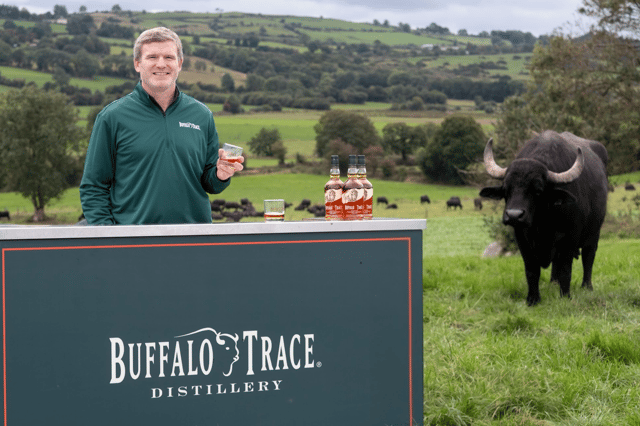 Gordon D’Arcy left stunned as Buffalo Trace’s ‘Perfectly Untamed’ message appears in Cork Countryside