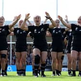 New Zealand survived an almighty scare from South Africa