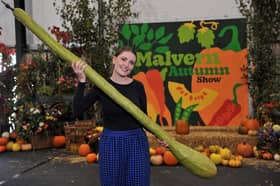 Giant veg are among the highlights at Malvern Autumn Show