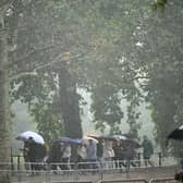 Tourists shelter from the rain beneath umbrellas as they walk along The Mall during a torrential downpour in central London on September 10, 2025     