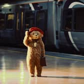 The bear portraying Paddington for the new West End musical inspired by the beloved children's books and films
