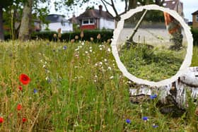 The research challenged a long-held assumption that promoting ecological benefits was enough to win over the public