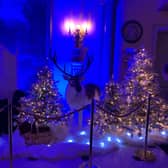 Hinton Ampner in Hampshire Christmas 2024