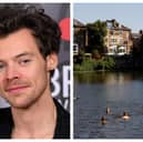 Why London’s Hampstead is perfect for celebrity spotting and crepes, you could even bump into Harry Styles! He has been known to swim in Hampstead Heath's public pond. Photos: Getty Images