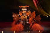 The Masked Singer fans think that a chart-topping girlband member could be the secret celeb disguised as Moth 