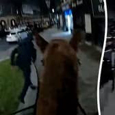 The wanted man didn't stand a chance against the Lancashire Police horse