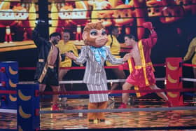 Clue for Monkey Business on The Masked Singer seem to pointing towards a former girl band member. 